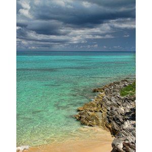 Bermuda Coast  11 x 14 print